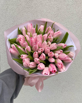 Bukiet Tulipanów różowych