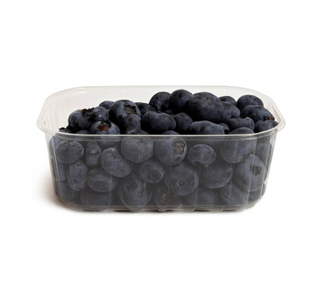 PL Borówka– słodka i pełna zdrowia 