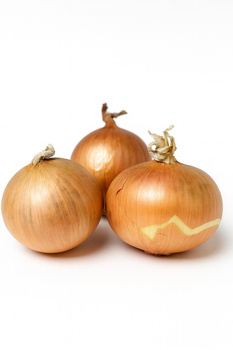 Cebuła Zwykła aromatyczna, uniwersalna i niezastąpiona