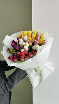 Bukiet Tulipanów miks