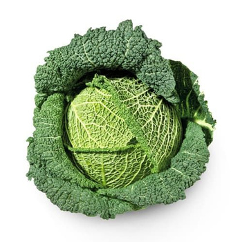 Kapusta włoska– delikatna, falista i wyjątkowo aromatyczna