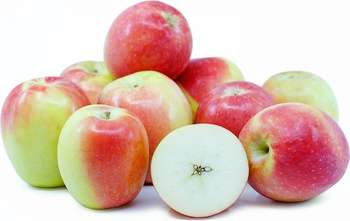 Jabłko Ligol słodko-kwaskowe i wyjątkowo soczyste