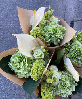 F-Bukiet – edycja hortensjowa