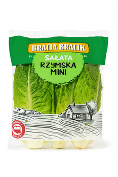 Sałata rzymska jędrna i bogata w wartości odżywcze