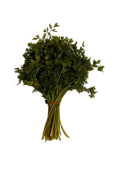 Natka pietruszki aromatyczna i pełna witamin pęczek