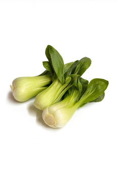 Pak Choi – kapusta chińska świeża 