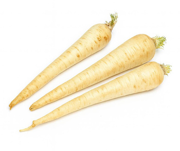 Pietruszka korzeniowa