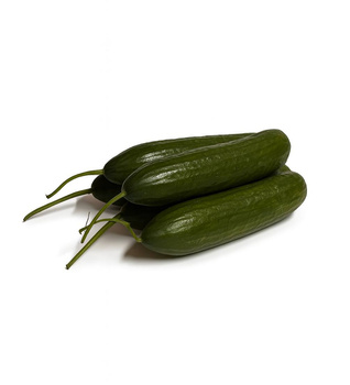 Ogórek szklarnia Polska