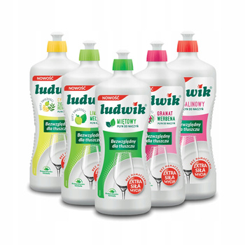 Ludwik – Płyn do Mycia Naczyń (różne zapachy) 900