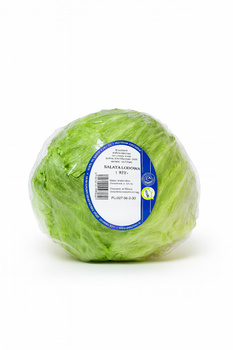 Sałata Lodowa chrupiąca i soczysta