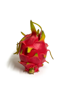 Smoczy owoc (Pitahaya) – egzotyczny i dekoracyjny