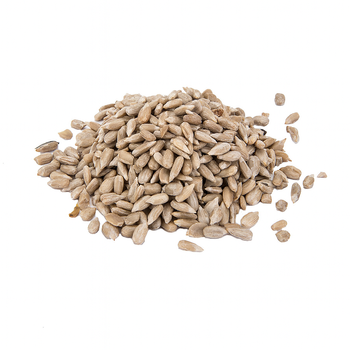 Słonecznik łuskany