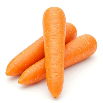 Marchew świeża – słodka, chrupiąca i pełna witamin