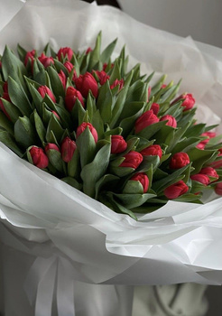 Bukiet Tulipanów czerwonych