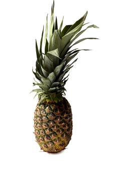 Ananas – tropikalna słodycz 