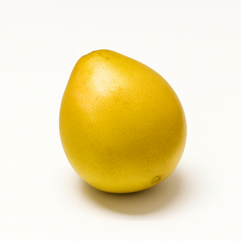 Pomelo – największy cytrus świata 