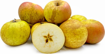 Jabłka Szara Reneta kwaskowe i idealne do pieczenia