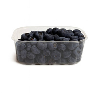 PL Borówka– słodka i pełna zdrowia