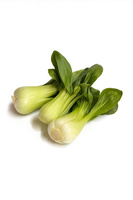 Pak Choi – kapusta chińska świeża 