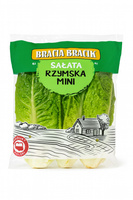 Sałata rzymska jędrna i bogata w wartości odżywcze