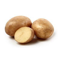 Ziemniaki Polskie Catania 